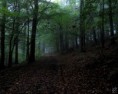 /album/galeria-de-fotos/sxga60-jpg/