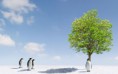 /album/galeria-de-fotos/computer-linux-config-compiz-effects-backgrounds-wallpapers-jpg/